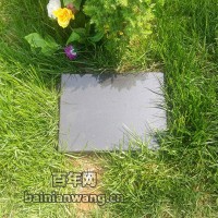 北京墓地大全之节地生态葬的现在和未来