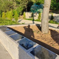 选墓地如何看位置