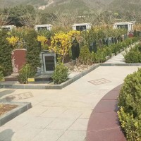 通州墓地有哪些？