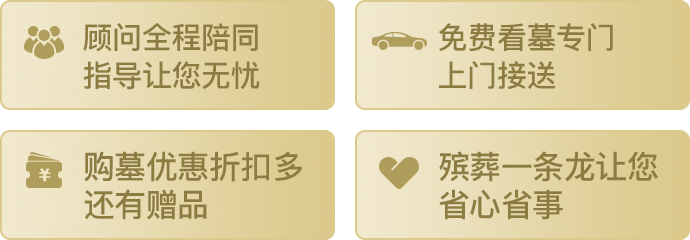 百年网